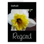 Language of Flowers Daffodil Regard cards