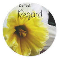 Language of Flowers Daffodil Regard Sticker