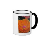 Lantern Flower at Taipei Lantern Festival 2012 Mugs