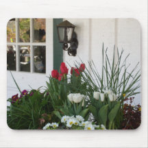 Lantern Tulips Mousemats