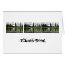 Lapie Perfection; Thank You Card