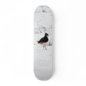 Lapwing Animal skateboards