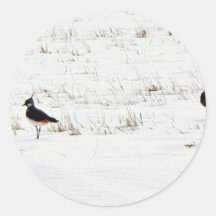 Lapwings Stickers