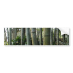 Large Bamboo Bumper Stickers