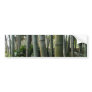 Large Bamboo Bumper Stickers