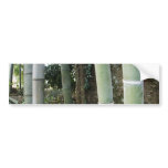 Large Bamboo. Bumper Sticker