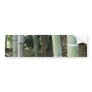 Large Bamboo. Bumper Sticker