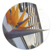 Large Bird of Paradise Sticker