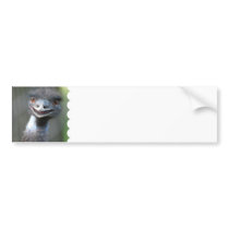 Large Emu  Bumper Stickers