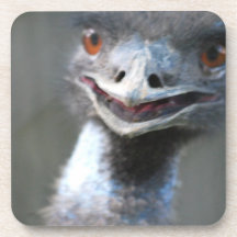 Large Emu Coaster
