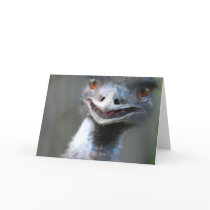 Large Emu  Greeting Cards