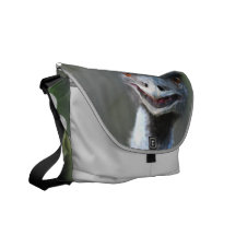 Large Emu  Messenger Bag