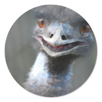 Large Emu  Stickers