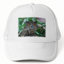 Large Owl Baseball Hat