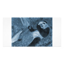 Large Panda Play Blue Hue Photo Greeting Card