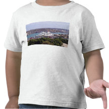 Large ship in bay t-shirts