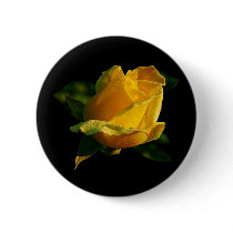 Large Yellow Rose