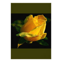 Large Yellow Rose Personalised Announcement