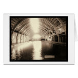 Largest Plunge Bath in Hot Springs SD 1891 cards