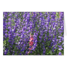 Larkspur Card
