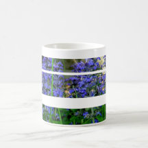 Larkspur  Mug