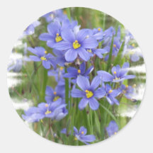 Larkspurs Round Sticker