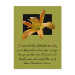 Larry's Orange Lily Post Cards