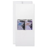 Larsen B Ice Shelf Collapse (Picture Earth) rack cards