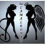 LAS CAMALEONAS Photo Sculpture photo sculptures