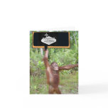 Las Vegas Monkey Business - Bachelor's Party cards