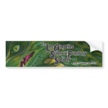 LASFS Dragon Bumper Sticker bumper stickers