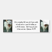 Last Hopes Chatty Catty Bumper Sticker