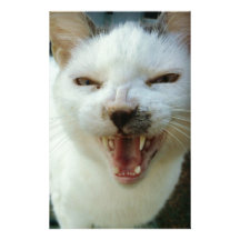 Last Hopes Chatty Catty Stationery Design