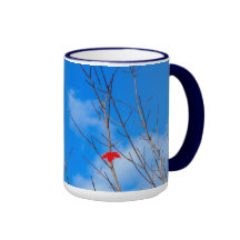 Last Leaf of Fall Coffee Mug