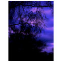 Last light t-shirts