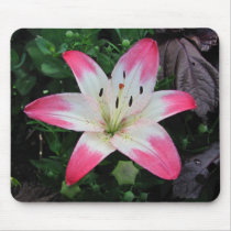 Last Lily ~ mousepad