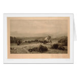 Last of the Buffalo Bierstadt (0137A) - Unrestored Greeting Card