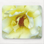 Last Rose of Summer Mouse Mat