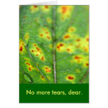 Last Teardrop/ Card