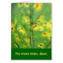 Last Teardrop/ Card