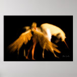 Last Unicorn posters