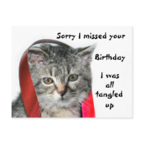 Late Birthday kitten Postcards