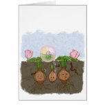 Late Bloomer cards