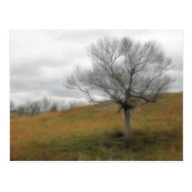 Late Fall - The Barren Hillside Postcard
