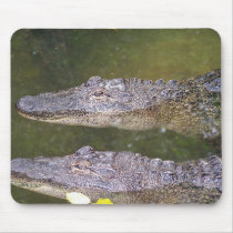 Later Gator Mouse Pads