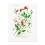 Lathyrus odoratus postcard