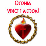 Latin t-shirt (Omnia vincit amor!)