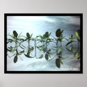 lattice1 posters
