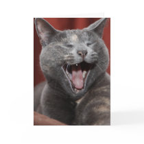 Laugh it up! greeting card