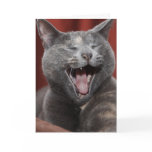 Laugh it up! cards